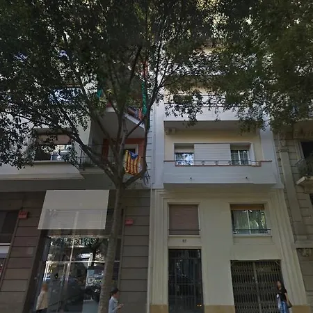 Alcam Calabria * Barcelona