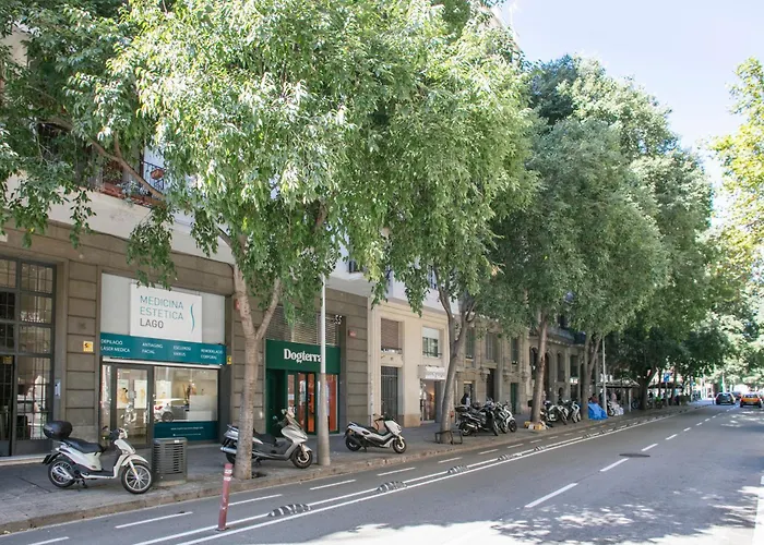Alcam Calabria * Барселона